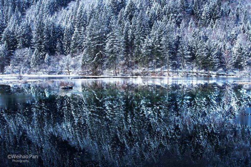 snow forest reflection.jpg
